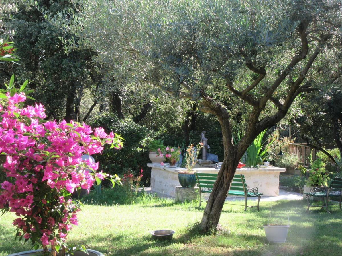 Domaine du bois gîte Bleuette Galargues Extérieur photo