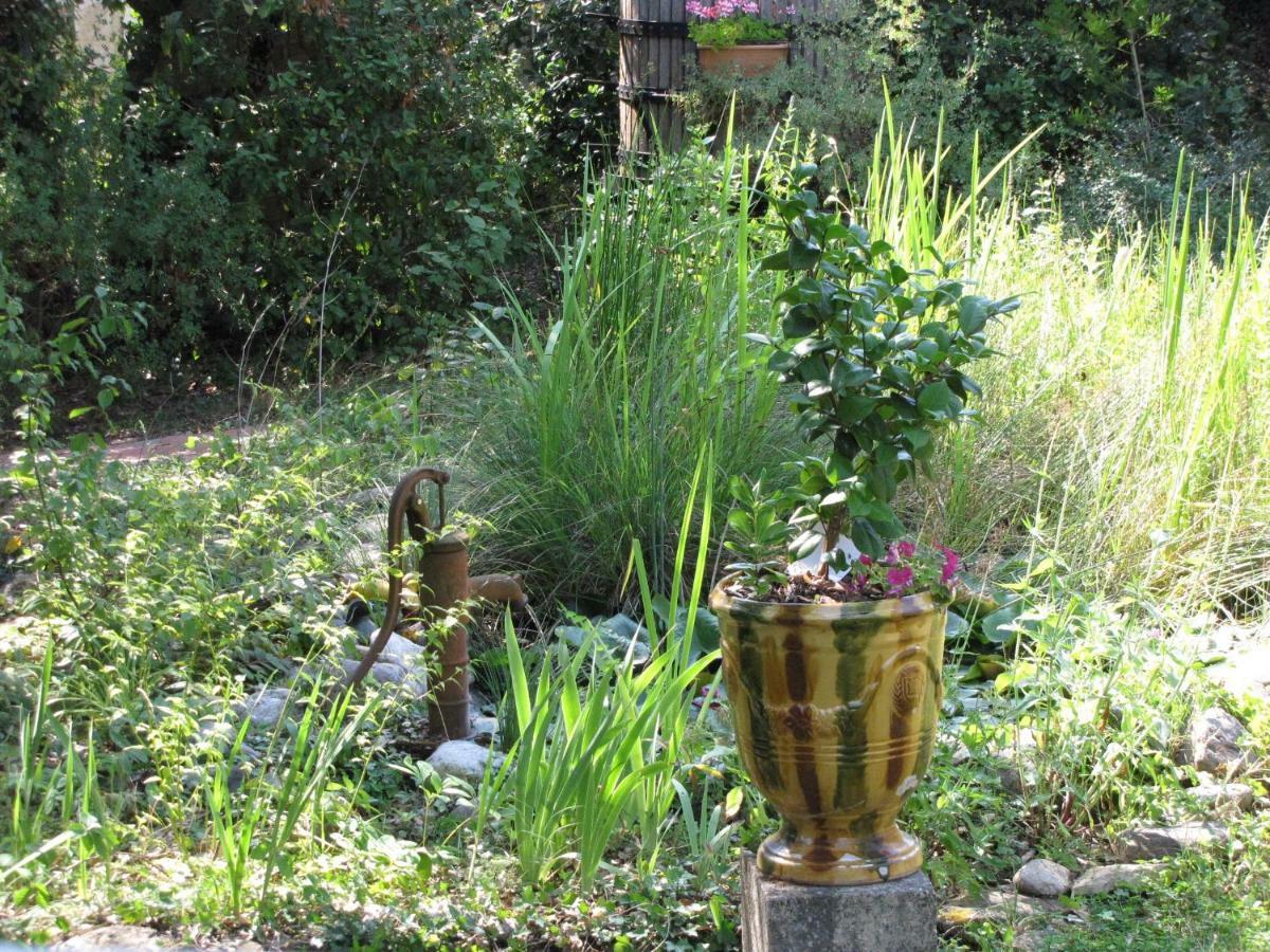 Domaine du bois gîte Bleuette Galargues Extérieur photo