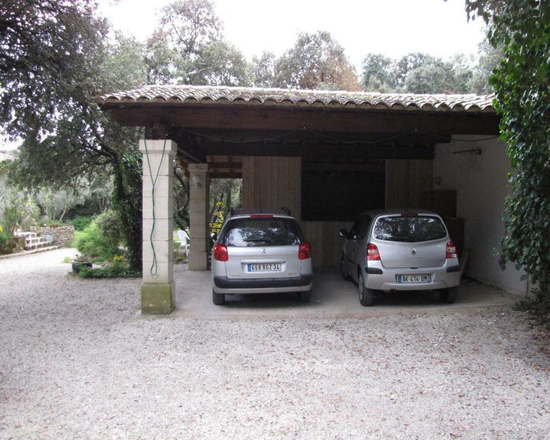 Domaine du bois gîte Bleuette Galargues Extérieur photo